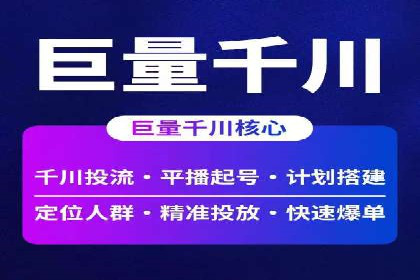 SEM服务公司成功案例解读